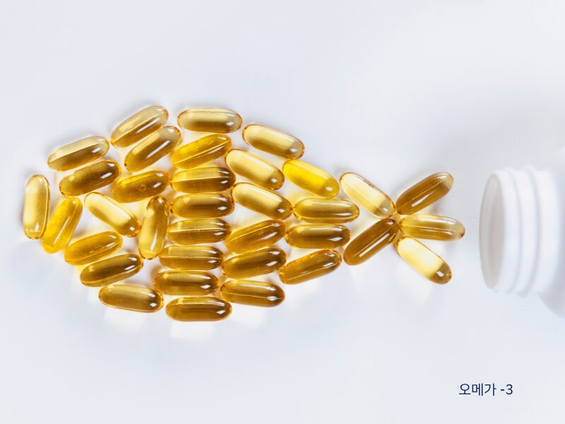 오메가-3_02 