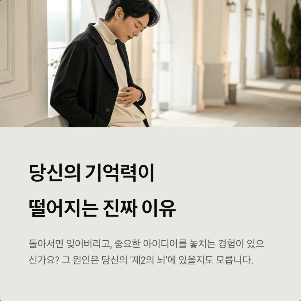 세컨드 브레인 