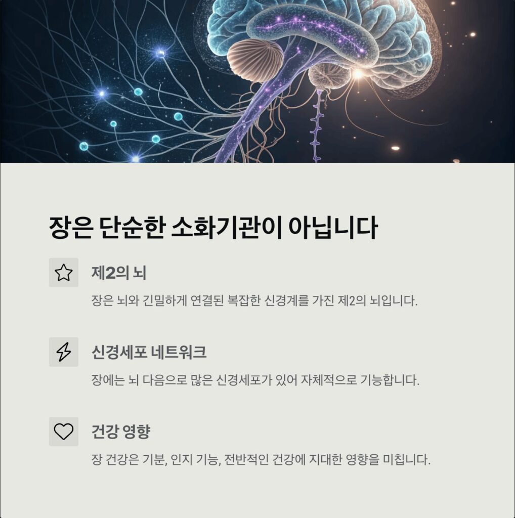 장은 단순한 소화기관 아니다 